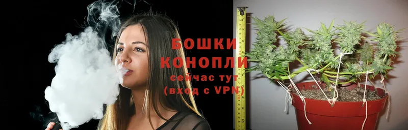 Канабис THC 21%  kraken ссылки  Нальчик 